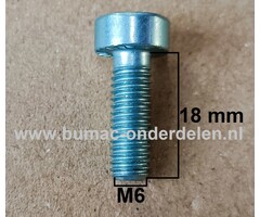 Torx Bout M6x18 mm Metrisch voor STIHL Heggenscharen, Bosmaaiers, Trimmers, Motorzeisen Schroef Torx, Cilinderkopbout, Bout, Schroef, onderdelen