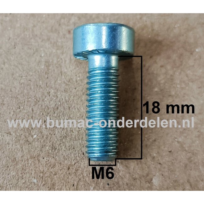 Torx Bout M6x18 mm Metrisch voor STIHL Heggenscharen, Bosmaaiers, Trimmers, Motorzeisen Schroef Torx, Cilinderkopbout, Bout, Schroef, onderdelen