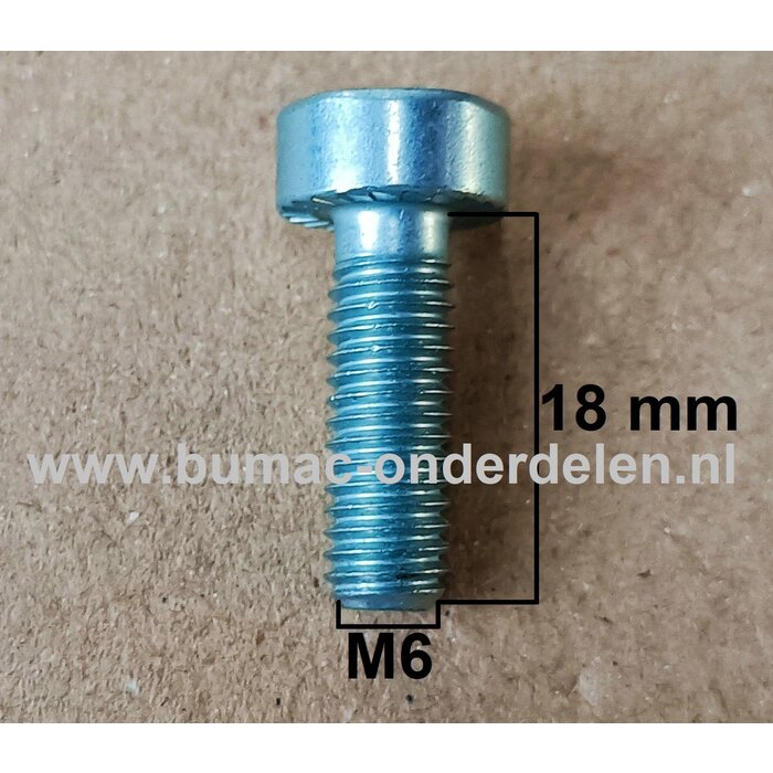 Torx Bout M6x18 mm Metrisch voor STIHL Heggenscharen, Bosmaaiers, Trimmers, Motorzeisen Schroef Torx, Cilinderkopbout, Bout, Schroef, onderdelen