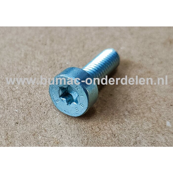 Torx Bout M6x18 mm Metrisch voor STIHL Heggenscharen, Bosmaaiers, Trimmers, Motorzeisen Schroef Torx, Cilinderkopbout, Bout, Schroef, onderdelen