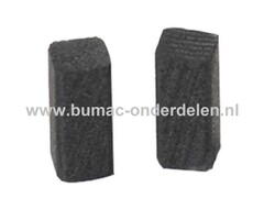 Koolborstel Set voor Black & Decker 5x5x10 mm Schuurmachines, Slijpers, Doorslijpers, Handslijpers Boormachines, Boren Elektromotoren, Generatoren AST4, AST4XC, BD124, BD169, BD170, BD175, BD179E, BD180E, BD273, BL135, CD380, CD400, CON170, CP135, DN170,