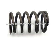 Klepveer voor LONCIN Motoren op Trilplaat, Tuinfrees, Kooimaaier, Aggregaat, Veegmachine, Verticuteermachine, Hakselaar, Hoogwerker, Generator, Houtversnipperaar, Zitmaaier, Frontmaaier, Grasmaaier G240F, G240FD, G270F, G270FD, G340F, G340FD, G390F, G390F