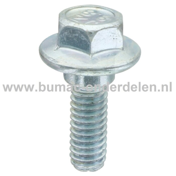 Bout Klepdeksel voor LONCIN Motoren op Trilplaat, Tuinfrees, Kooimaaier, Aggregaat, Veegmachine, Verticuteermachine, Hakselaar, Hoogwerker, Generator, Houtversnipperaar, Zitmaaier, Frontmaaier, Grasmaaier Klepdekselbout, Bout voor Klepdeksel LC1P61FA, LC1