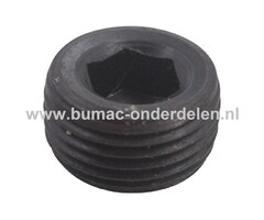 Olieaftapplug 3/8" voor LONCIN Motoren op Trilplaat, Tuinfrees, Kooimaaier, Aggregaat, Veegmachine, Verticuteermachine, Hakselaar, Hoogwerker, Generator, Houtversnipperaar, Zitmaaier, Frontmaaier, Grasmaaier Olie Aftapplug LC1P92F1, LC1P96F