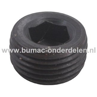 Olieaftapplug 3/8" voor LONCIN Motoren op Trilplaat, Tuinfrees, Kooimaaier, Aggregaat, Veegmachine, Verticuteermachine, Hakselaar, Hoogwerker, Generator, Houtversnipperaar, Zitmaaier, Frontmaaier, Grasmaaier Olie Aftapplug LC1P92F1, LC1P96F