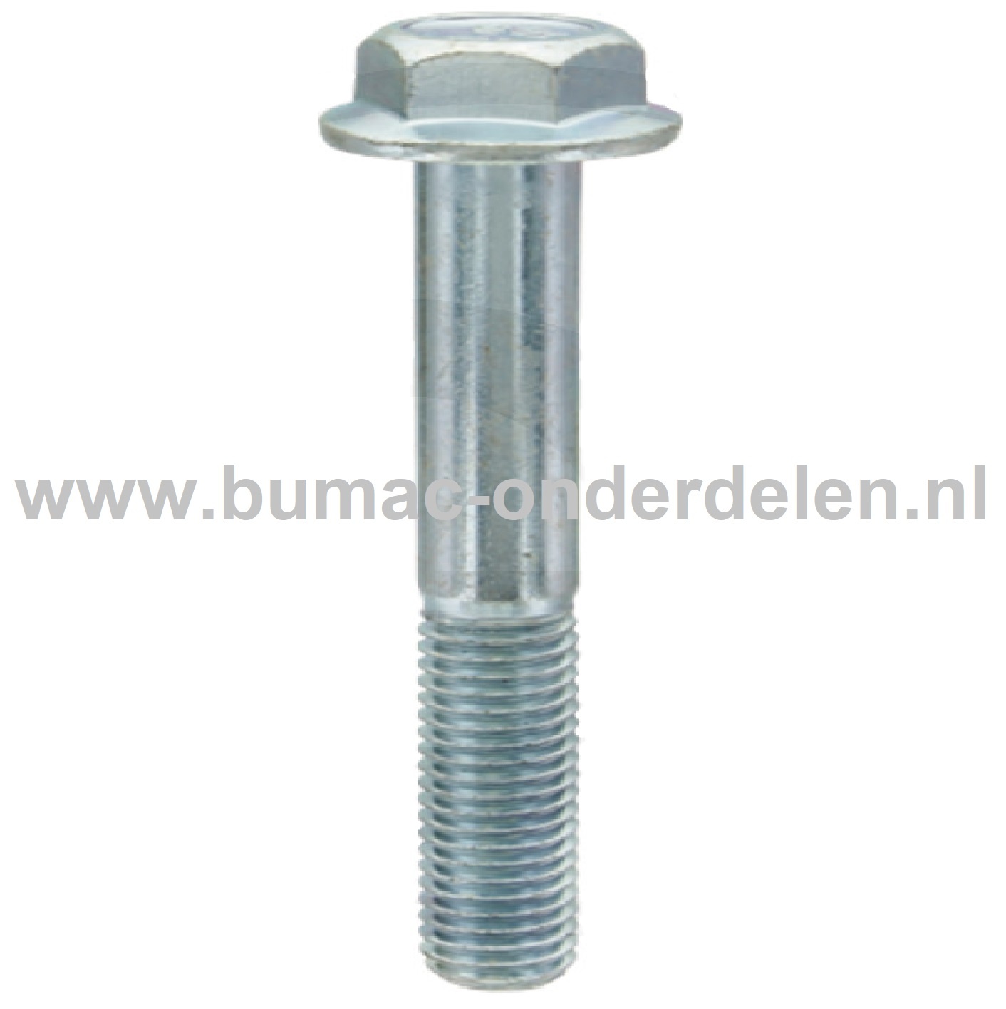 Cilinderkopbout M8x60 mm voor LONCIN Motoren op Trilplaat, Tuinfrees, Kooimaaier, Aggregaat, Veegmachine, Verticuteermachine, Hakselaar, Hoogwerker, Generator, Houtversnipperaar, Zitmaaier, Frontmaaier, Grasmaaier Cilinderkop Bout, Bevestiging G200FD, LC1