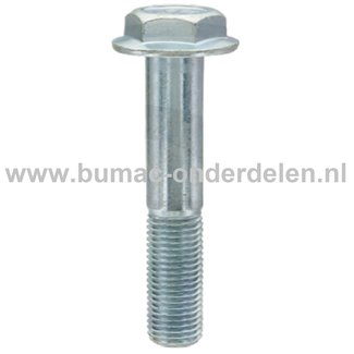 Cilinderkopbout M8x50 mm voor LONCIN Motoren op Trilplaat, Tuinfrees, Kooimaaier, Aggregaat, Veegmachine, Verticuteermachine, Hakselaar, Hoogwerker, Generator, Houtversnipperaar, Zitmaaier, Frontmaaier, Grasmaaier Cilinderkop Bout, Bevestiging LC1P61FA, L