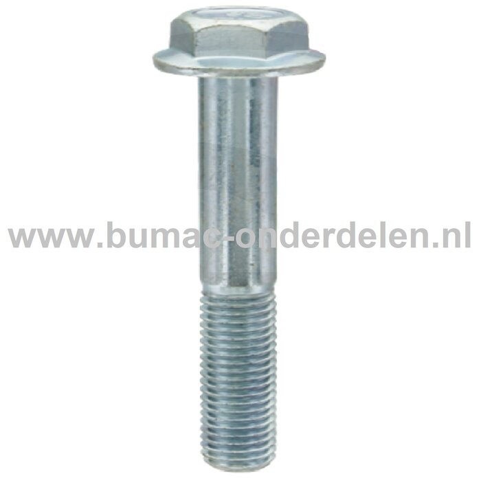 Cilinderkopbout M8x50 mm voor LONCIN Motoren op Trilplaat, Tuinfrees, Kooimaaier, Aggregaat, Veegmachine, Verticuteermachine, Hakselaar, Hoogwerker, Generator, Houtversnipperaar, Zitmaaier, Frontmaaier, Grasmaaier Cilinderkop Bout, Bevestiging LC1P61FA, L
