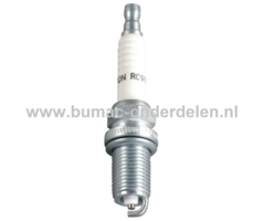 Bougie RP10HC voor Diverse Motoren op Bosmaaiers, Trimmers, Motorzeisen, Heggenscharen Ontstekingskaars DR5HS, RP10HC, X16FSR-U, P10Y