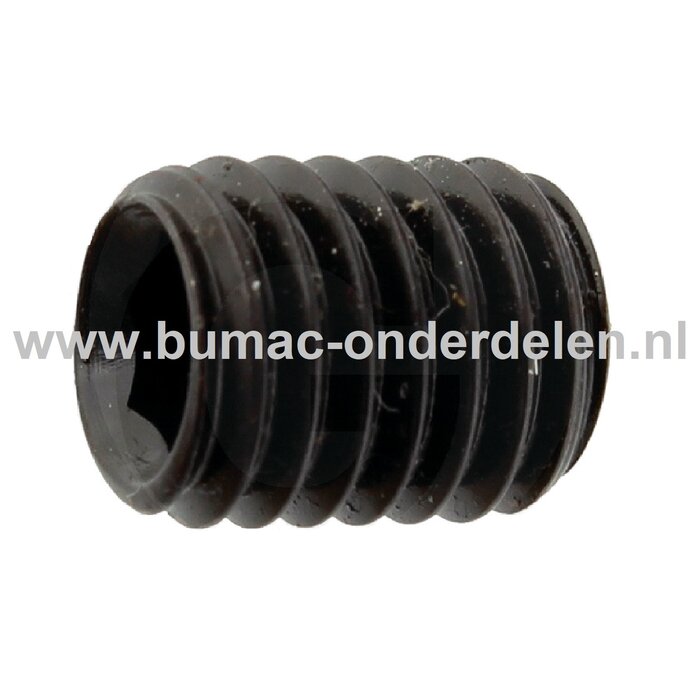 Vlakke Inbus stelschroef M5x10 mm draadstift met Binnenzeskant voor inbussleutel, Bevestigen van Tandwielen, Koppelingen, V snaar Poelies op Grasmaaier, Trilplaat, Trekker, Tuinfrees, Een stelschroef is perfect voor toepassingen waarbij er geen kop op de