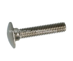 RVS Slotbout M5x40, met platte afgeronde kop en vierkantnok. Bout RVS M5 x40, Klasse A2, Din 603