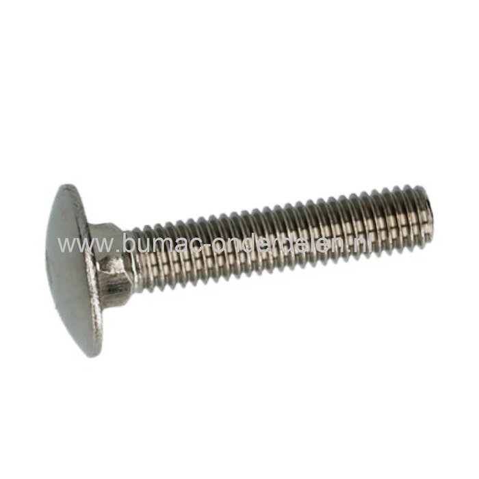 RVS Slotbout M5x70 met platte afgeronde kop en vierkantnok. Bout RVS M5 x70, Klasse A2, Din 603