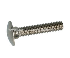 RVS Slotbout M12x40, met platte afgeronde kop en vierkantnok. Bout RVS M12x40, Klasse A2, Din 603