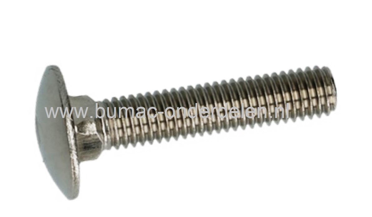 RVS Slotbout M12x80, met platte afgeronde kop en vierkantnok. Bout RVS M12x80, Klasse A2, Din 603