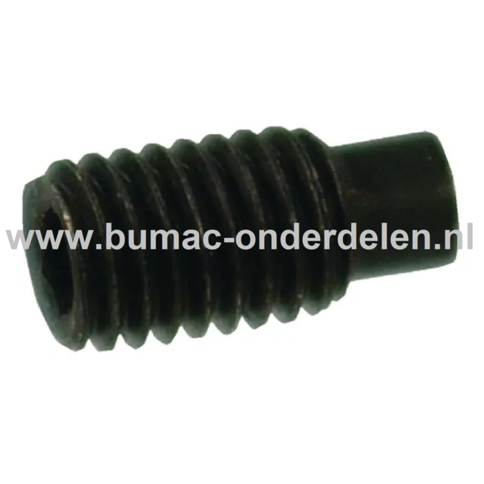 Inbus stelschroef M6x16 mm met Tap, draadstift met Binnenzeskant voor inbussleutel, Bevestigen van Tandwielen, Koppelingen, V snaar Poelies op Grasmaaier, Trilplaat, Trekker, Tuinfrees, Een stelschroef is perfect voor toepassingen waarbij er geen kop op