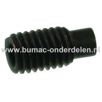 Inbus stelschroef M8x16 mm met Tap, draadstift met Binnenzeskant voor inbussleutel, Bevestigen van Tandwielen, Koppelingen, V snaar Poelies op Grasmaaier, Trilplaat, Trekker, Tuinfrees, Een stelschroef is perfect voor toepassingen waarbij er geen kop op