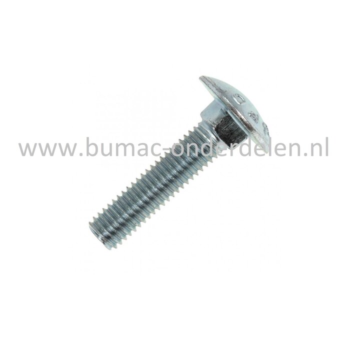 Slotbout, M6x20, verzinkt, met platte afgeronde kop en vierkantnok. Bout M6x20, Klasse 8.8, Din  603.