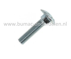 Slotbout M8x25, verzinkt, met platte afgeronde kop en vierkantnok. Bout M8x25, Klasse 8.8, Din  603.