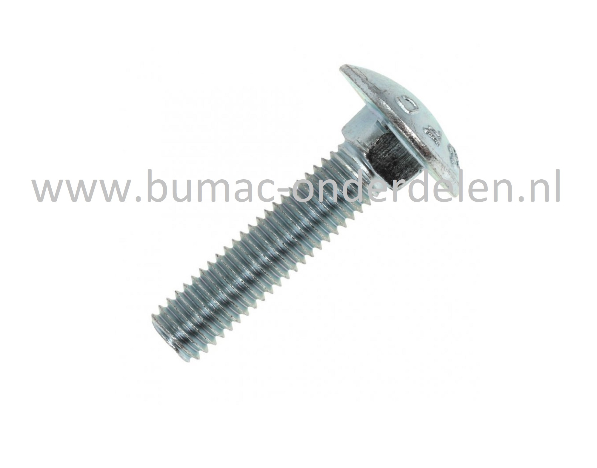 Slotbout M8x25, verzinkt, met platte afgeronde kop en vierkantnok. Bout M8x25, Klasse 8.8, Din  603.