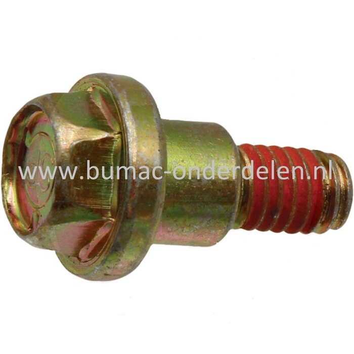 Borstbout voor MTD, BoBorstbout 5/16-18 voor MTD, Bolens, Wolf, Cub Cadet, Yardman Zitmaaiers, Tuintrekkers, Grasmaaiers Bolens BL 135/96 T, BL 175/107 T, BL 200/107 H, Wolf Ambition 107.175 H, Ambition 96.155 H, Blue Power 107.175 H, Select 107.175 T, Se