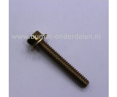 Bout 1/4-20 inch voor MTD, Wolf, CubCadet Zitmaaiers, Tuintrekkers Wolf Ambition 107.175 H, Ambition 96.155 H, Blue Power 107.175 H, Select 107.175 T, Select 96.130 T, Expert 13.96 H, MTD LF 155, LF 125, LF 135, LG 175, LG 135, P 155 HF, P 180 HG, SD 20/1