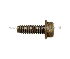 Uitlaat Bevestigingsbout 1/4-20 voor MTD, Bolens, Wolf, CubCadet, Yardman Zitmaaiers, Tuintrekkers Bolens BL 135/96 T, BL 175/107 T, BL 200/107 H, Wolf Ambition 107.175 H, Ambition 96.155 H, Blue Power 107.175 H, Select 107.175 T, Select 96.130 T, Expe