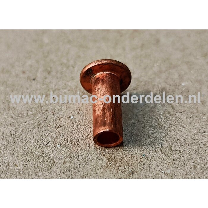 Klinknagel Koper 4x10 mm Een klinknagel is een Koperen bevestigingsmiddel die  bestaat uit een metalen pen die voorzien is van een verdikt uiteinde De meest toegepaste klinknagels hebben een ronde bolle of een verzonken zetkop Klinknagels zijn vaak vervaa