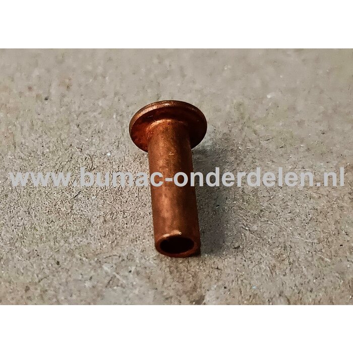 Klinknagel Koper 4x12 mm Koperen bevestigingsmiddel die  bestaat uit een metalen pen die voorzien is van een verdikt uiteinde De meest toegepaste klinknagels hebben een ronde bolle of een verzonken zetkop deze dienen om onderdelen zoals Platen, Profielen,