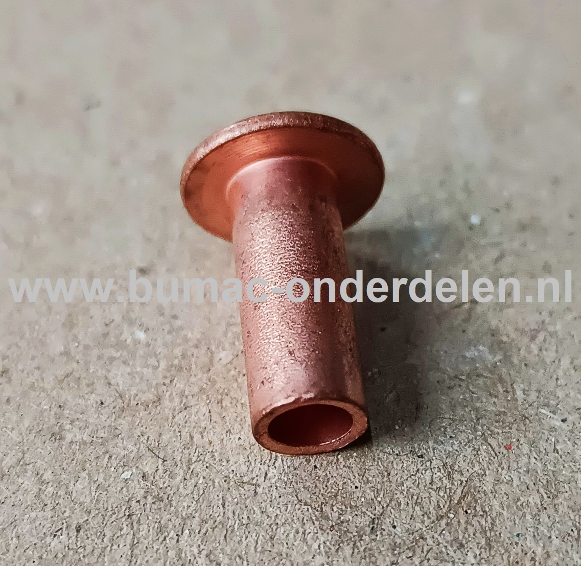 Klinknagel Koper 5x12 mm Koperen bevestigingsmiddel die  bestaat uit een metalen pen die voorzien is van een verdikt uiteinde De meest toegepaste klinknagels hebben een ronde bolle of een verzonken zetkop deze dienen om onderdelen zoals Platen, Profielen,