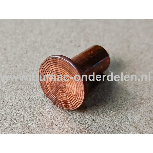 Klinknagel Koper 6x12 mm Koperen bevestigingsmiddel die  bestaat uit een metalen pen die voorzien is van een verdikt uiteinde De meest toegepaste klinknagels hebben een ronde bolle of een verzonken zetkop deze dienen om onderdelen zoals Platen, Profielen,