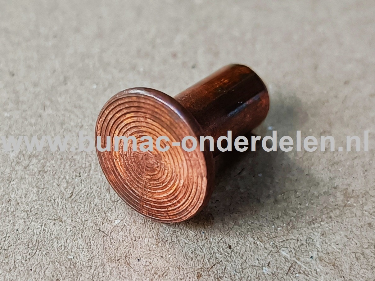Klinknagel Koper 6x12 mm Koperen bevestigingsmiddel die  bestaat uit een metalen pen die voorzien is van een verdikt uiteinde De meest toegepaste klinknagels hebben een ronde bolle of een verzonken zetkop deze dienen om onderdelen zoals Platen, Profielen,