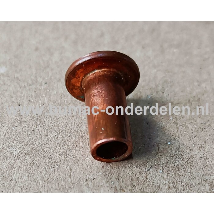 Klinknagel Koper 6x12 mm Koperen bevestigingsmiddel die  bestaat uit een metalen pen die voorzien is van een verdikt uiteinde De meest toegepaste klinknagels hebben een ronde bolle of een verzonken zetkop deze dienen om onderdelen zoals Platen, Profielen,