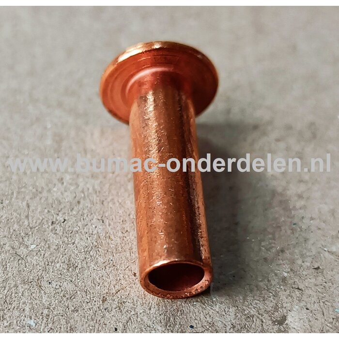 Klinknagel Koper 6x20 mm Koperen bevestigingsmiddel die  bestaat uit een metalen pen die voorzien is van een verdikt uiteinde De meest toegepaste klinknagels hebben een ronde bolle of een verzonken zetkop deze dienen om onderdelen zoals Platen, Profielen,