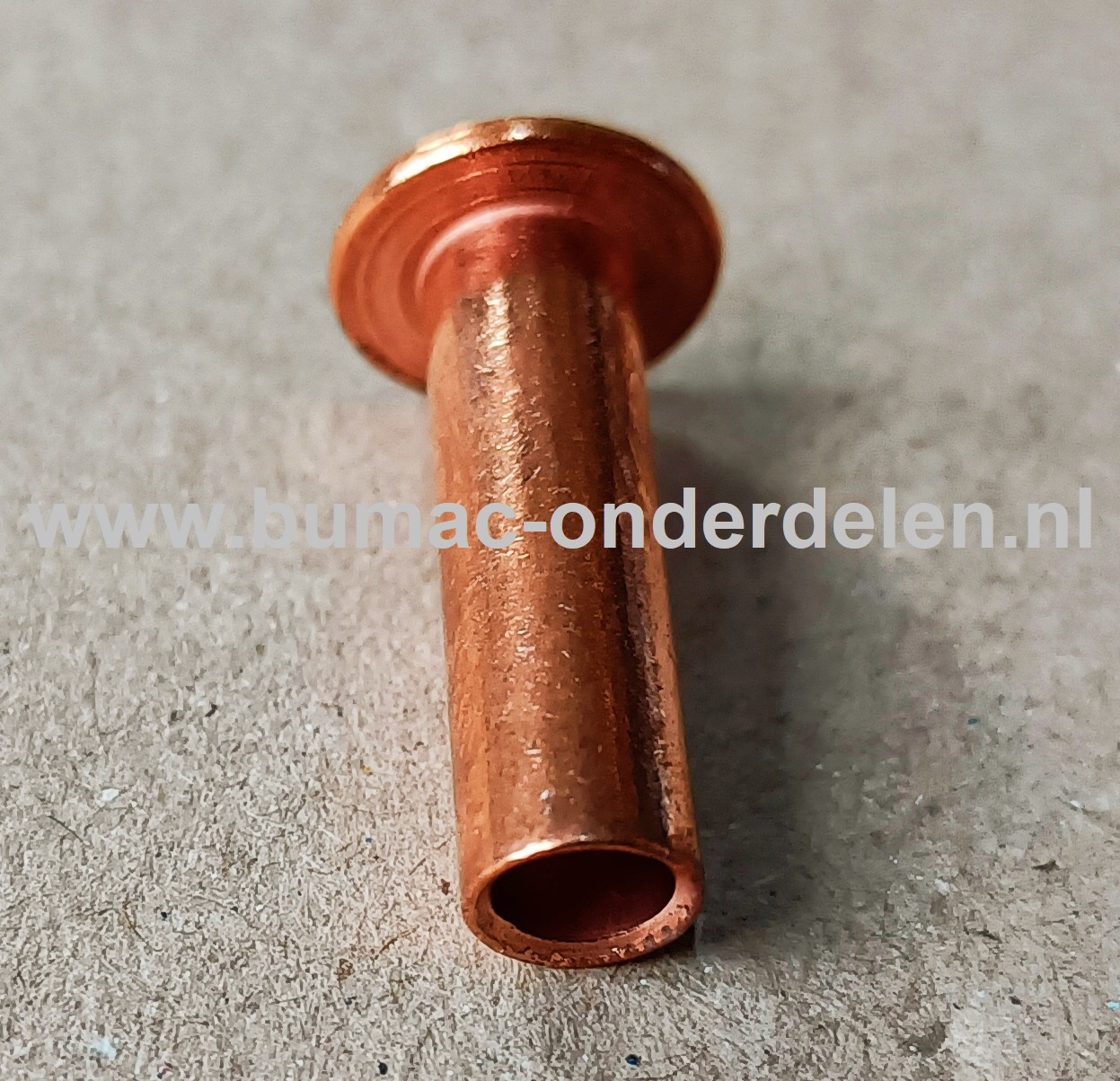 Klinknagel Koper 6x20 mm Koperen bevestigingsmiddel die  bestaat uit een metalen pen die voorzien is van een verdikt uiteinde De meest toegepaste klinknagels hebben een ronde bolle of een verzonken zetkop deze dienen om onderdelen zoals Platen, Profielen,