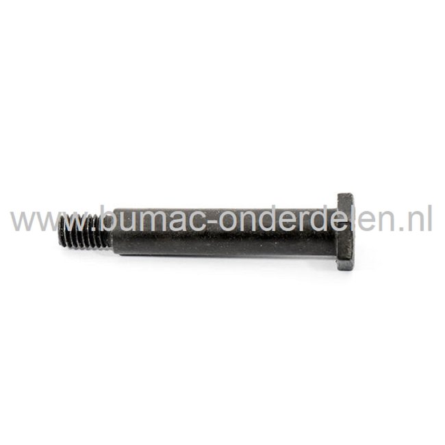 Bout 3/8-16 - 60 mm voor MTD, CUBCADET, WOLF, YARDMAN, BOLENS, WHITE Smart RG145, DLX96SA, DLX107SHL, DLX127SAL, GLX 92RA, GLX92RH, GLX105RA, GLX105RH, GLX105RHL-K, GLX105RHL-SK, JLX76RA, XLX117SAL, JLX76RA, SLX107S, ELX96SA, ELX107SHL, ELX127SAL, MF36-18