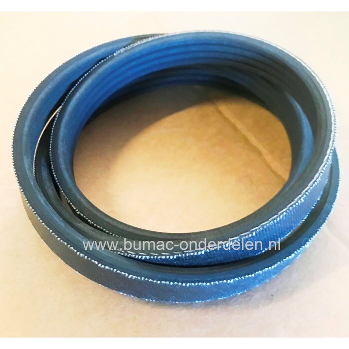 Ribriem 14,5 x 1000 mm voor Stihl TS800 Motorslijper voor Aandrijving van de Doorslijpschijf, Aandrijfriem TS 800 Bandenzaag