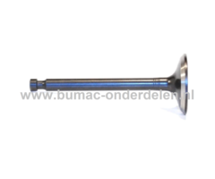 Inlaatklep voor Honda GX100 Motoren op Trilplaat, Generator, Kooimaaier, Tuinfrees, Houtversnipperaar, Waterpomp, Bouwlift, Bobcat, Minikraan, Aggregaat, Hoogwerker, Cart, Veegmachine, Hakselaar, Hogedrukreiniger, Verticuteermachine, Kantensnijder, Vlinde