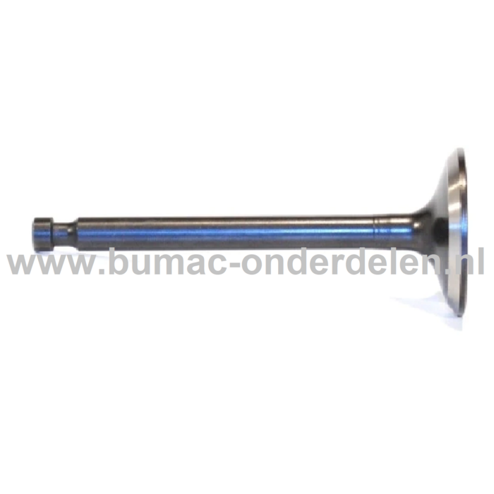 Inlaatklep voor Honda GX100 Motoren op Trilplaat, Generator, Kooimaaier, Tuinfrees, Houtversnipperaar, Waterpomp, Bouwlift, Bobcat, Minikraan, Aggregaat, Hoogwerker, Cart, Veegmachine, Hakselaar, Hogedrukreiniger, Verticuteermachine, Kantensnijder, Vlinde