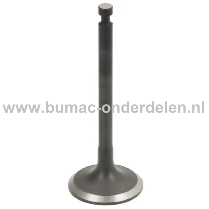 Uitlaatklep voor Honda GX100 Motoren op Trilplaat, Generator, Kooimaaier, Tuinfrees, Houtversnipperaar, Waterpomp, Bouwlift, Bobcat, Minikraan, Aggregaat, Hoogwerker, Cart, Veegmachine, Hakselaar, Hogedrukreiniger, Verticuteermachine, Kantensnijder, Vlind