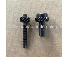 Tandwiel met Spanbout voor Kettingspanner voor STIHL 020, HT100, HT101, HT130, HT131, HT250, HT70, HT73, HT75, HTE60, HT-KM, MC200, MS150, MS192, MS193, MS200, MS200T, MS201, MS201T voor Kettingzagen - Motorzagen - Heggenscharen - Hoogsnoeiers
