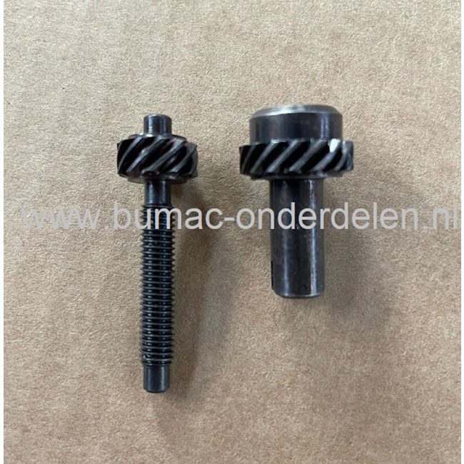 Tandwiel met Spanbout voor Kettingspanner voor STIHL 020, HT100, HT101, HT130, HT131, HT250, HT70, HT73, HT75, HTE60, HT-KM, MC200, MS150, MS192, MS193, MS200, MS200T, MS201, MS201T voor Kettingzagen - Motorzagen - Heggenscharen - Hoogsnoeiers