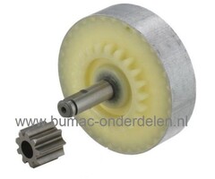 Tandwiel voor Stihl E140, E160, E180, MSE140C, MSE160C, MSE180C, MSE200C Electrische Kettingzaag, Motorzaag, Aandrijftandwiel voor Stihl E 140, E 160, E 180, MSE 140C, MSE 160C, MSE 180C, MSE 200C Electrische Kettingzaag, Motorzaag