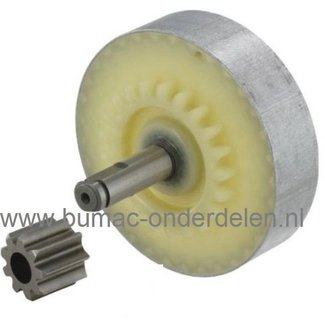 Tandwiel voor Stihl E140, E160, E180, MSE140C, MSE160C, MSE180C, MSE200C Electrische Kettingzaag, Motorzaag, Aandrijftandwiel voor Stihl E 140, E 160, E 180, MSE 140C, MSE 160C, MSE 180C, MSE 200C Electrische Kettingzaag, Motorzaag