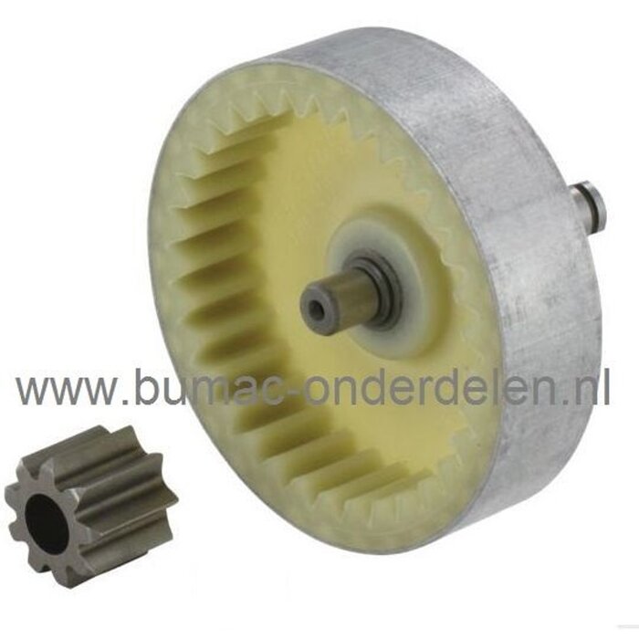 Tandwiel voor Stihl E140, E160, E180, MSE140C, MSE160C, MSE180C, MSE200C Electrische Kettingzaag, Motorzaag, Aandrijftandwiel voor Stihl E 140, E 160, E 180, MSE 140C, MSE 160C, MSE 180C, MSE 200C Electrische Kettingzaag, Motorzaag