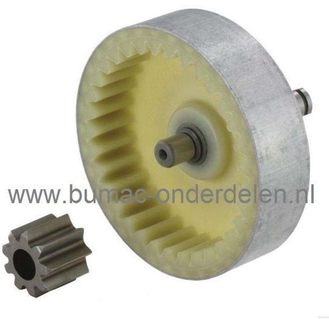 Tandwiel voor Stihl E140, E160, E180, MSE140C, MSE160C, MSE180C, MSE200C Electrische Kettingzaag, Motorzaag, Aandrijftandwiel voor Stihl E 140, E 160, E 180, MSE 140C, MSE 160C, MSE 180C, MSE 200C Electrische Kettingzaag, Motorzaag