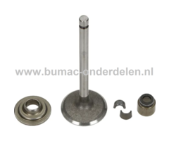 Inlaatklep voor Briggs & Stratton Motoren met een Horizontale Krukas op Motoren op Zitmaaiers, Frontmaaiers, Tuintrekkers 19H132, 19H232, 19L132, 19L237, 201332, 201412, 202337, 19 H 132, 19 H 232, 19 L 132, 19 L 237