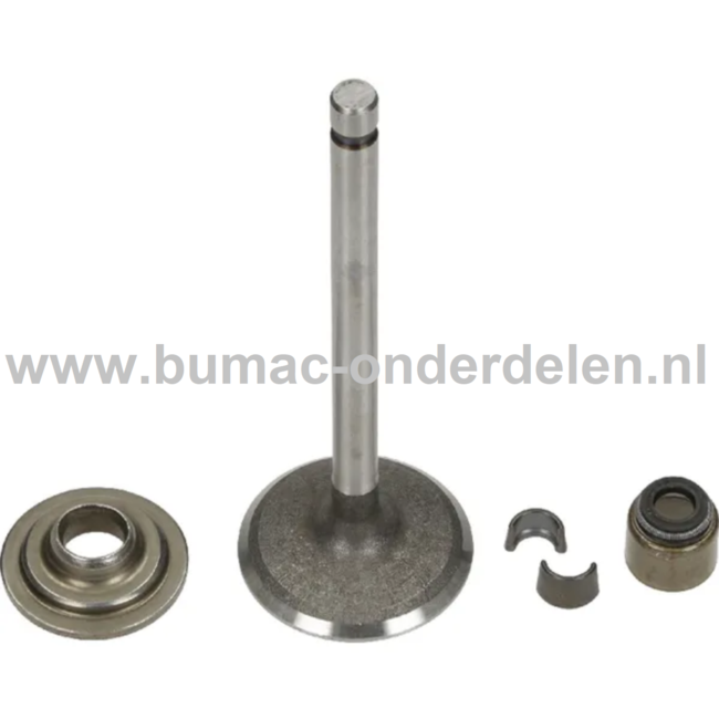 Inlaatklep voor Briggs & Stratton Motoren met een Horizontale Krukas op Motoren op Zitmaaiers, Frontmaaiers, Tuintrekkers 19H132, 19H232, 19L132, 19L237, 201332, 201412, 202337, 19 H 132, 19 H 232, 19 L 132, 19 L 237