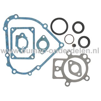 Pakkingset voor Briggs & Stratton Motoren  met een Horizontale Krukas op Grasmaaiers, Gazonmaaiers, Cirkelmaaiers, Benzinemaaiers, Loopmaaiers Pakking Set, Afdichtingset, Afdichting 19H132, 19H232, 19L132, 19L237, 201332, 201412, 202337