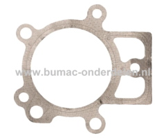 Cilinderkoppakking voor Briggs & Stratton Motoren met een Horizontale Krukas op Grasmaaiers, Gazonmaaiers, Cirkelmaaiers, Benzinemaaiers, Loopmaaiers Cilinder Koppakking, Pakking, Afdichting, Dichting 19H132, 19H232, 19L132, 19L237, 201332, 201412, 202337