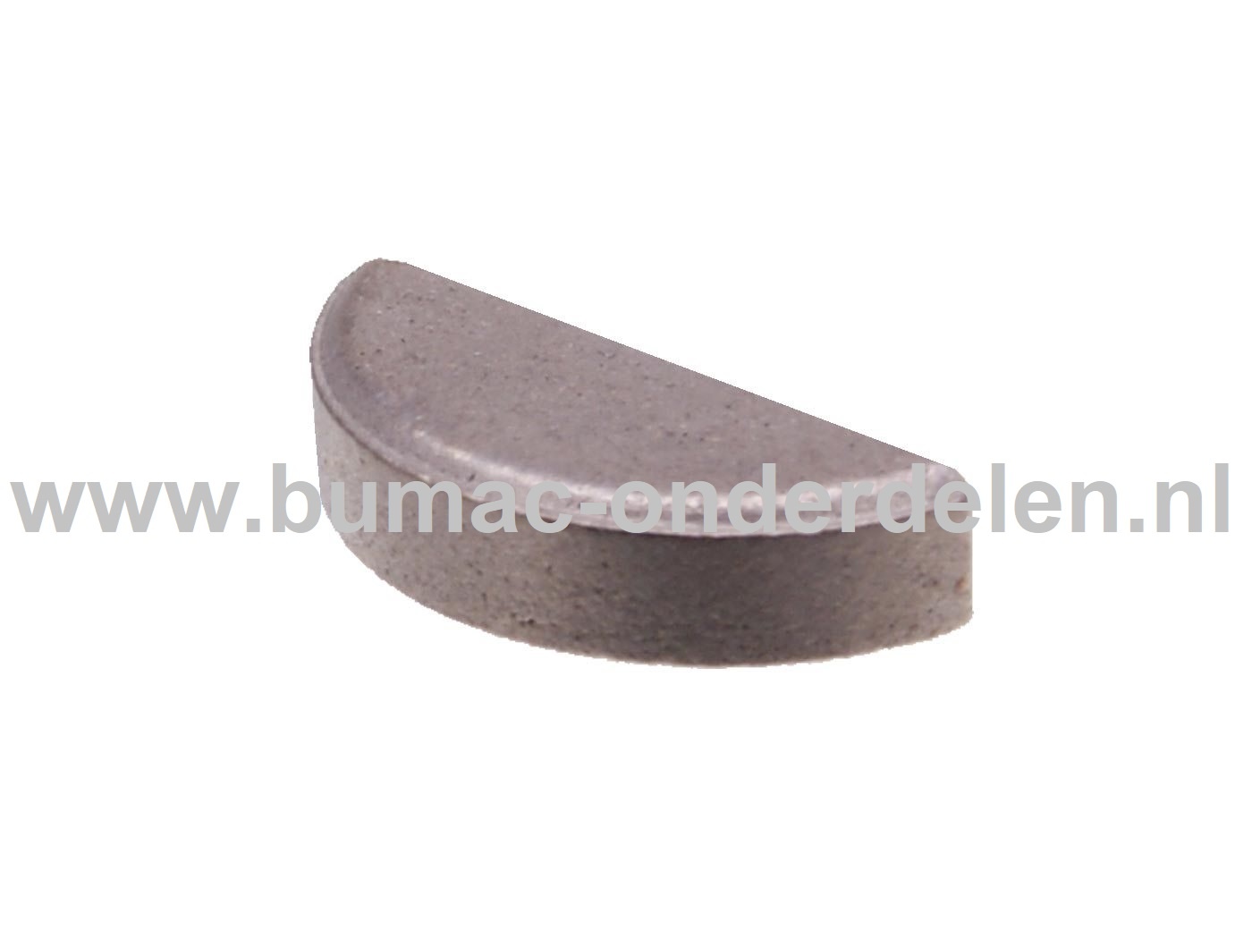 Alko, Solo, Brill spie 15x4x6,5 voor Meshouder op Loopmaaiers Classic 4.64-PS - XAL Classic 464PS - 4.64P-S Classic, AL-KO Spieën Maaimeshouders op Gazonmaaiers, Grasmaaimachines, Alko, Brill, Solo Bevestigingsmaterialen, onderdeel